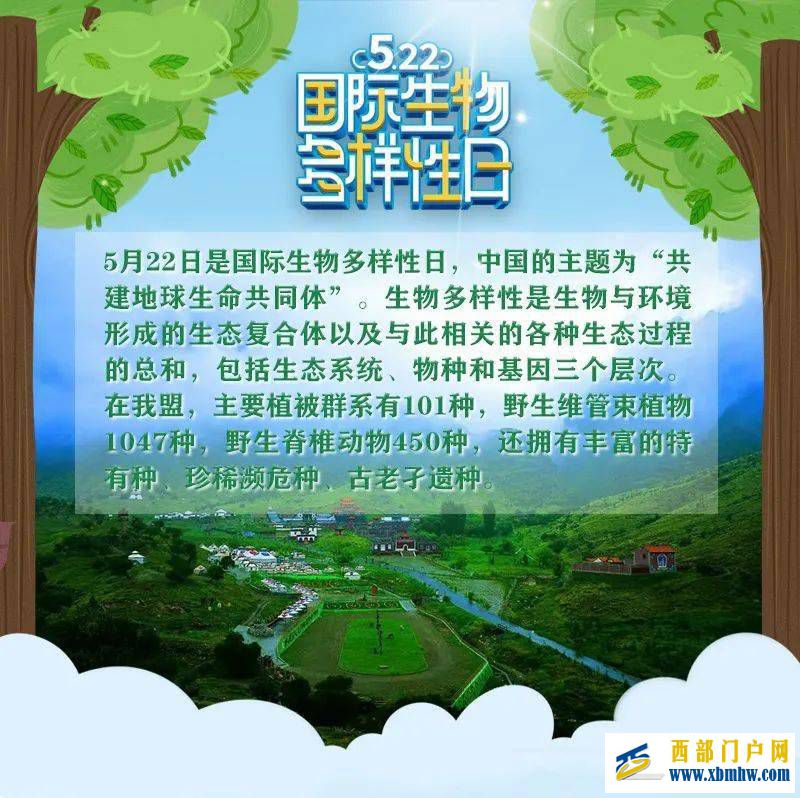 原创丨在阿拉善你见过它们吗?(图1) 原创丨在阿拉善你见过它们吗?(图1)