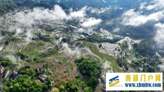 重庆酉阳:晨雾下的梯田美如画(图1) 重庆酉阳:晨雾下的梯田美如画(图1)