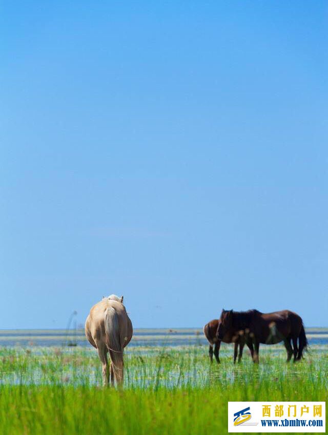 呼伦贝尔旅游攻略之最全面篇(图10) 呼伦贝尔旅游攻略之最全面篇(图10)