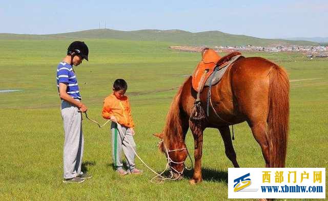 呼伦贝尔旅游攻略之最全面篇(图21) 呼伦贝尔旅游攻略之最全面篇(图21)