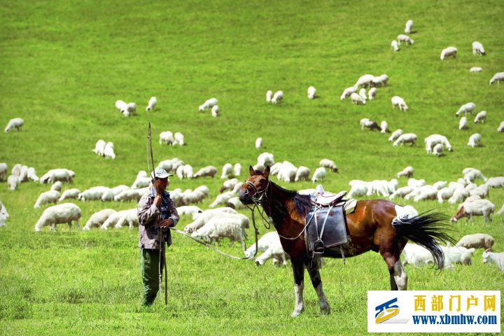 呼伦贝尔旅游攻略!,呼伦贝尔经典南北线路推荐(图9) 呼伦贝尔旅游攻略!,呼伦贝尔经典南北线路推荐(图9)