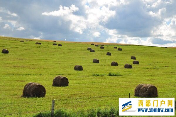 呼伦贝尔及主要景点介绍(图5) 呼伦贝尔及主要景点介绍(图5)