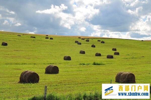 呼伦贝尔及主要景点介绍(图6) 呼伦贝尔及主要景点介绍(图6)