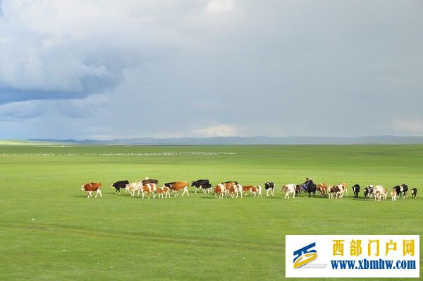 呼伦贝尔及主要景点介绍(图10) 呼伦贝尔及主要景点介绍(图10)