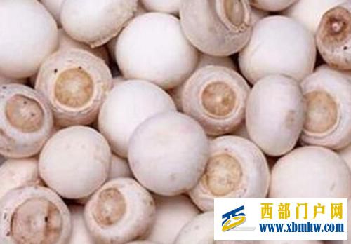 “小葱带你吃天下”——兴安盟寻味内蒙古,走进兴...(图24) “小葱带你吃天下”——兴安盟寻味内蒙古,走进兴...(图24)