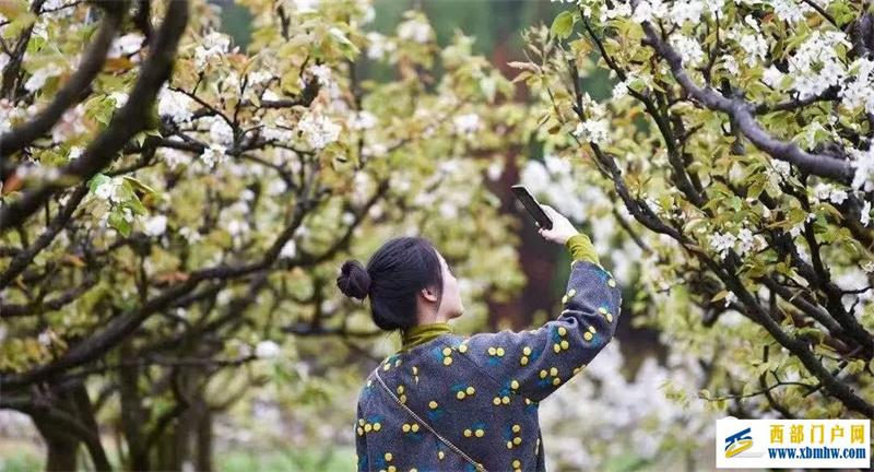 夏日的白银顾家善,盛满了人间清欢(图1) 夏日的白银顾家善,盛满了人间清欢(图1)
