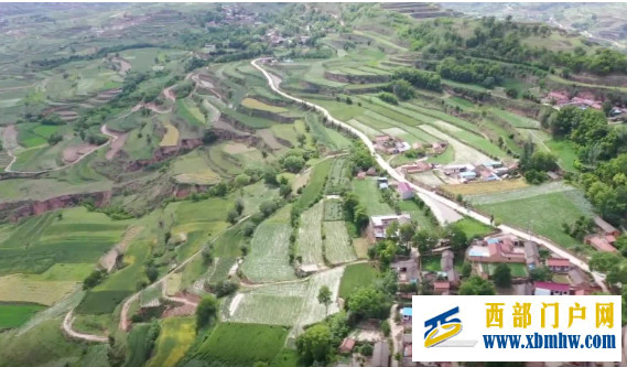 甘肃天水：芒种时节梯田如画(图1)