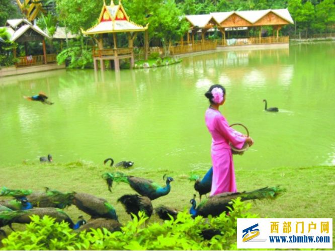 西双版纳旅游攻略——出发前必看指南(图3) 西双版纳旅游攻略——出发前必看指南(图3)