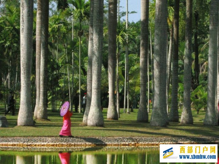 西双版纳旅游攻略——出发前必看指南(图9) 西双版纳旅游攻略——出发前必看指南(图9)