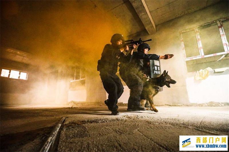 新疆阿勒泰:夏季练“犬”忙(图1) 新疆阿勒泰:夏季练“犬”忙(图1)