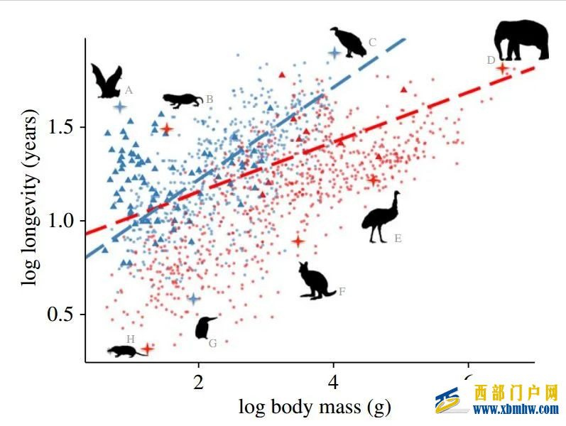 Cell最新:两大关键长寿基因,调节好昼夜节律,多活10年(图1) Cell最新:两大关键长寿基因,调节好昼夜节律,多活10年(图1)
