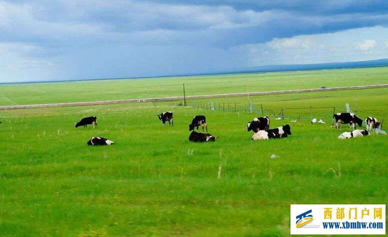 内蒙古首府-呼和浩特文化(图2) 内蒙古首府-呼和浩特文化(图2)