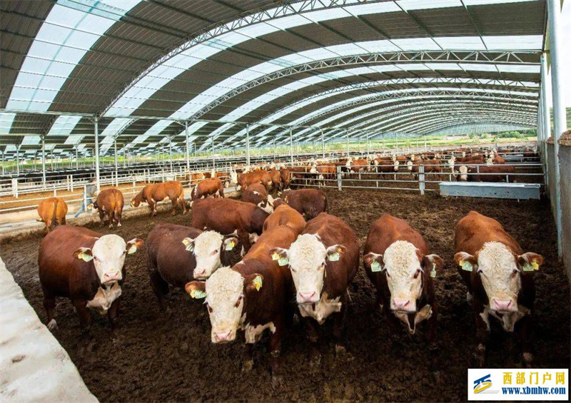 固原:发展“六特”产业 打造最普惠的“造富车间”(图1) 固原:发展“六特”产业 打造最普惠的“造富车间”(图1)