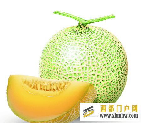 哈密瓜是瓜中之王,吃哈密瓜有4大好处养眼又养颜(图1) 哈密瓜是瓜中之王,吃哈密瓜有4大好处养眼又养颜(图1)
