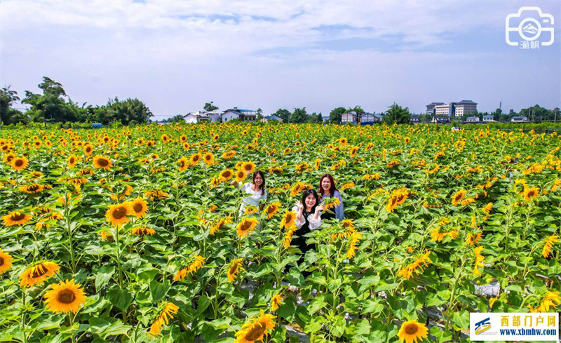 周末到潼南,赏花采摘吃太安鱼不要太爽!潼南作协太安采风行记(图1) 周末到潼南,赏花采摘吃太安鱼不要太爽!潼南作协太安采风行记(图1)