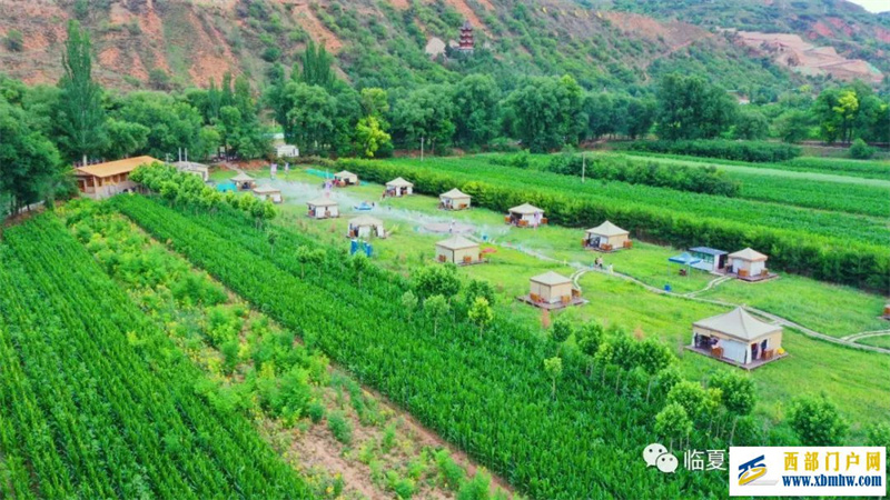 在临夏有一种田园叫“采菊东篱下悠然见南山”(图1) 在临夏有一种田园叫“采菊东篱下悠然见南山”(图1)