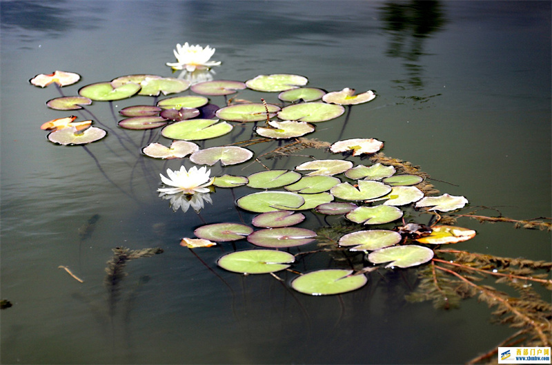 一群退休人士的新藏线自驾狂欢,16辆车,45位勇士,邂逅天上阿里(图1) 一群退休人士的新藏线自驾狂欢,16辆车,45位勇士,邂逅天上阿里(图1)