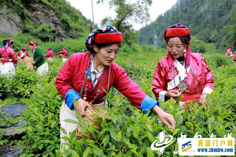 【安徽援藏工作巡礼·走进山南】“家门口就业挺好,谢谢安徽!”(图1) 【安徽援藏工作巡礼·走进山南】“家门口就业挺好,谢谢安徽!”(图1)