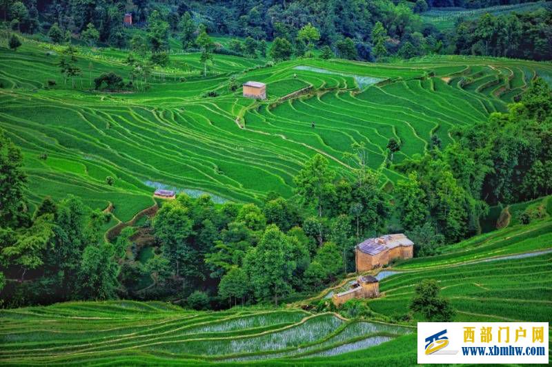 为什么那么多人喜欢到红河?(图2) 为什么那么多人喜欢到红河?(图2)