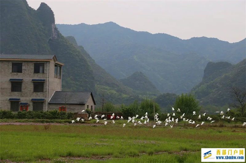 桂林惊艳时刻(图1) 桂林惊艳时刻(图1)