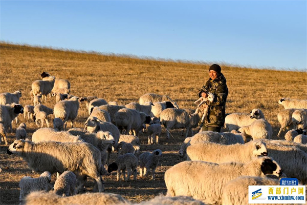 四季牧歌:锡林郭勒草原上的“春日牧歌”(图1) 四季牧歌:锡林郭勒草原上的“春日牧歌”(图1)