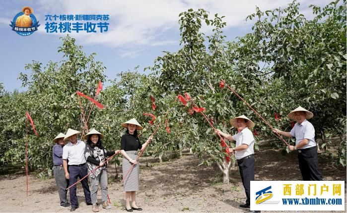 六个核桃·新疆阿克苏温宿核桃丰收节开幕 带动农民增产增收(图1) 六个核桃·新疆阿克苏温宿核桃丰收节开幕 带动农民增产增收(图1)