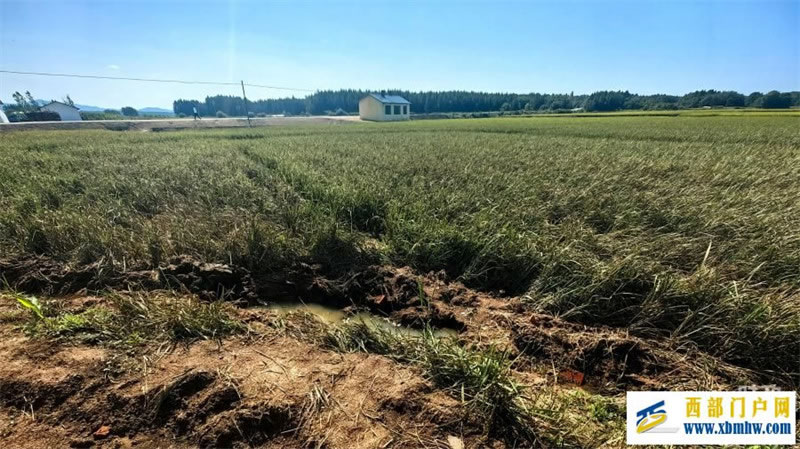 时政新闻眼丨习近平赴黑龙江看望慰问受灾群众,重点关注了什么(图4) 时政新闻眼丨习近平赴黑龙江看望慰问受灾群众,重点关注了什么(图4)