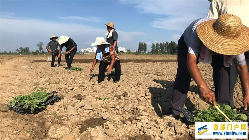 时政新闻眼丨习近平赴黑龙江看望慰问受灾群众,重点关注了什么(图9) 时政新闻眼丨习近平赴黑龙江看望慰问受灾群众,重点关注了什么(图9)