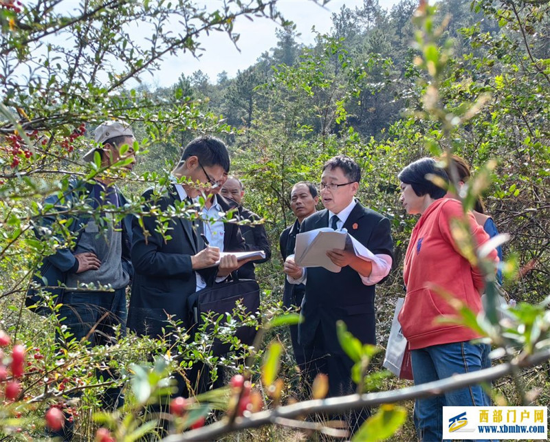 重庆环境资源法庭揭牌(图1) 重庆环境资源法庭揭牌(图1)