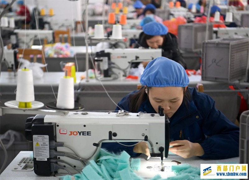 秦巴“萌熊”越洋记(图2) 秦巴“萌熊”越洋记(图2)