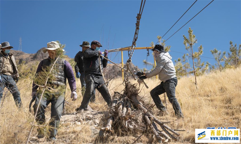 “植”此新绿——多地植树节活动扫描(图3) “植”此新绿——多地植树节活动扫描(图3)