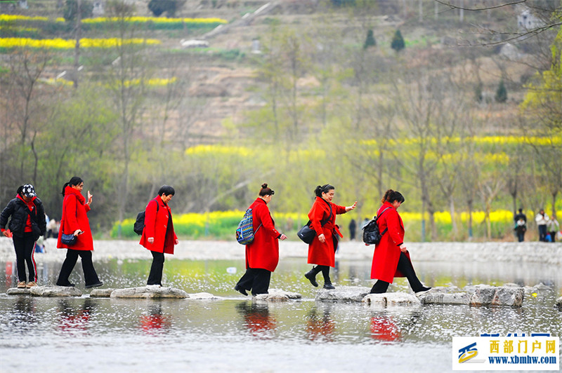 重庆酉阳:唱好“花经济” “颜值”变产值(图4) 重庆酉阳:唱好“花经济” “颜值”变产值(图4)