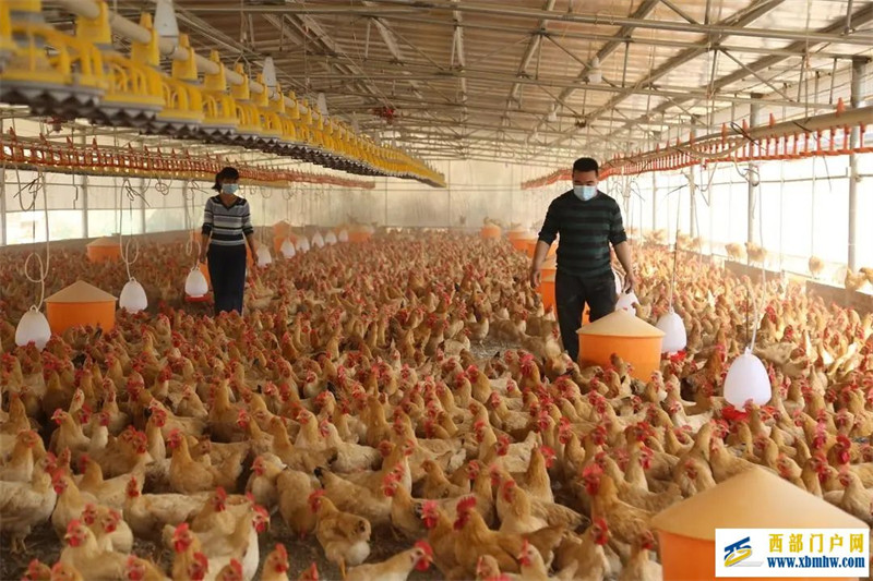 广西12个地理标志品牌入围中国区域品牌百强榜(图10) 广西12个地理标志品牌入围中国区域品牌百强榜(图10)