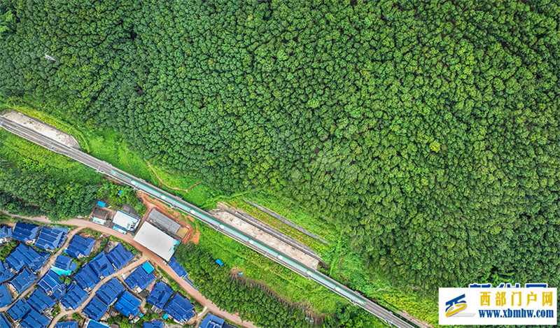 乘中老铁路一路南行 看边陲小镇换新颜(图4) 乘中老铁路一路南行 看边陲小镇换新颜(图4)