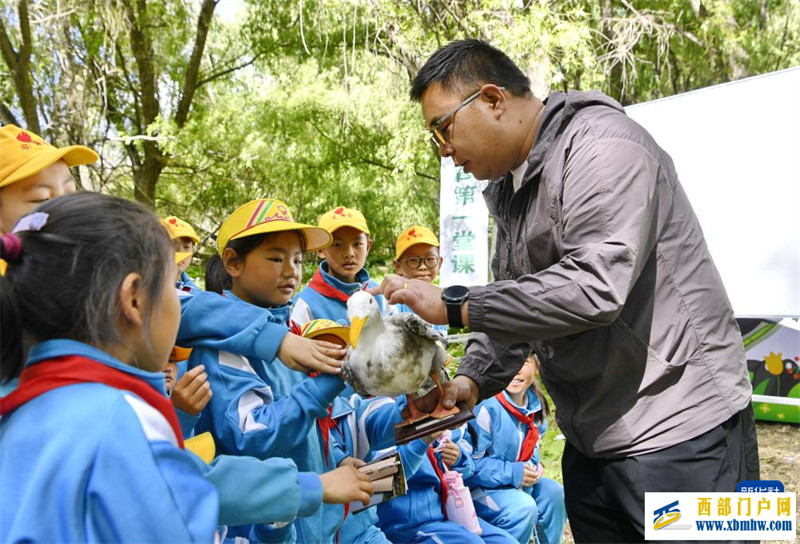 西藏：拉鲁湿地的科普自然教育课堂(图4)
