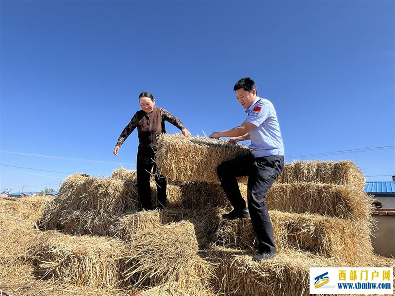 愿做戈壁一红柳 扎根边疆写青春(图3) 愿做戈壁一红柳 扎根边疆写青春(图3)