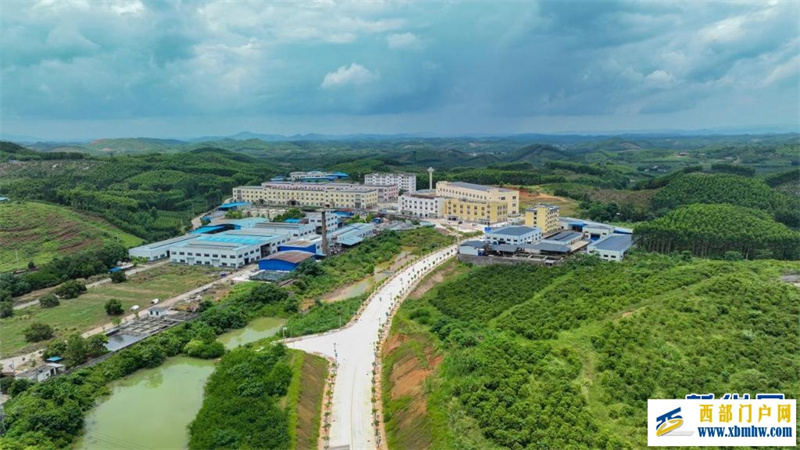 “山上种药 山下制药 山中康养”——广西金秀打造“瑶医药之都”(图4) “山上种药 山下制药 山中康养”——广西金秀打造“瑶医药之都”(图4)