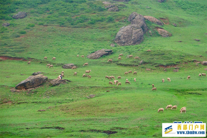 云南寻甸：高山草场引游人(图3)