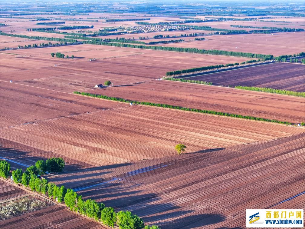 内蒙古东部粮仓通辽:2000万亩玉米播种正当时(图1) 内蒙古东部粮仓通辽:2000万亩玉米播种正当时(图1)