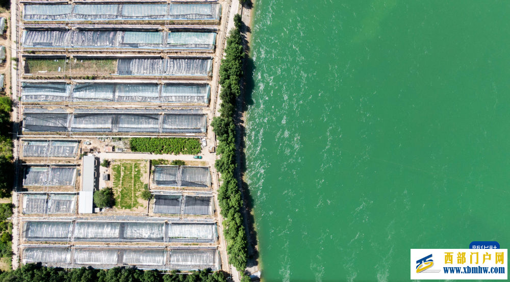 青海尖扎:夏日黄河清(图4) 青海尖扎:夏日黄河清(图4)