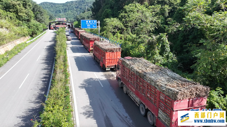 中老2025至2026年度榨季甘蔗跨境运输开启(图1)