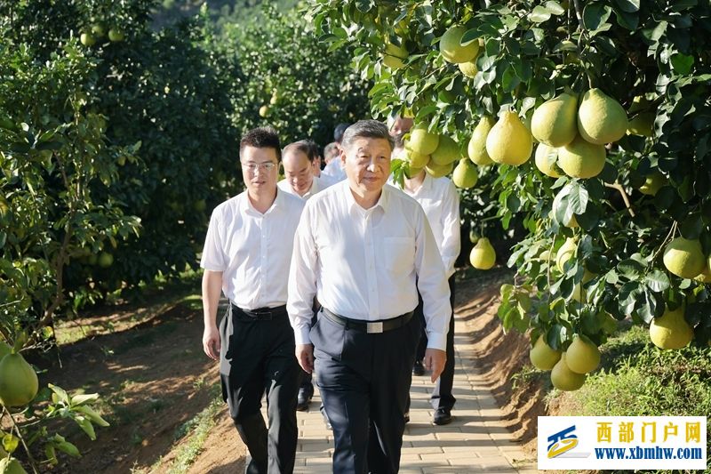 习近平在广东考察时强调(图5)