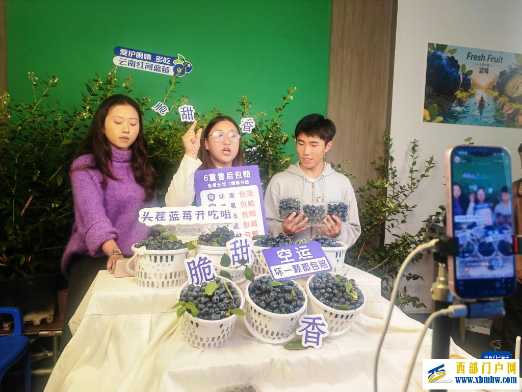 云南蓝莓实现重点地区“次日达”(图1) 云南蓝莓实现重点地区“次日达”(图1)